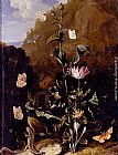 Otto Marseus Van Schrieck Still Life Of A Thistle And Other Flowers Surrounded By Moths, A Dragonfly, A Lizard, And A Snake, In A Landscape painting